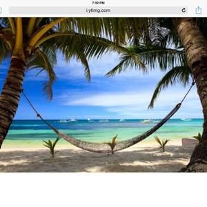 Meet your Posher, Carrie